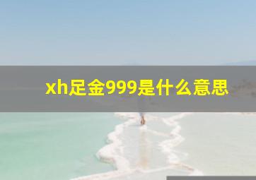 xh足金999是什么意思