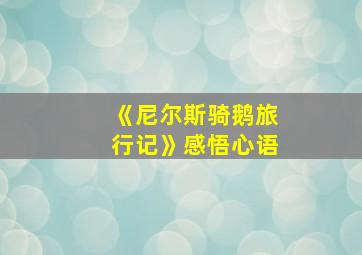 《尼尔斯骑鹅旅行记》感悟心语