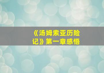 《汤姆索亚历险记》第一章感悟