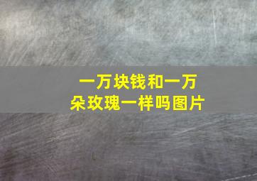 一万块钱和一万朵玫瑰一样吗图片