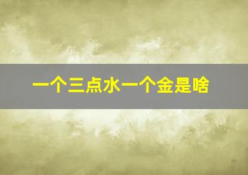 一个三点水一个金是啥