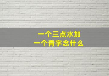 一个三点水加一个青字念什么