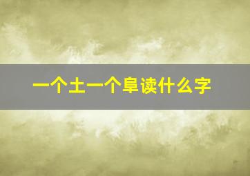 一个土一个阜读什么字