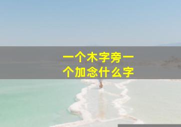 一个木字旁一个加念什么字