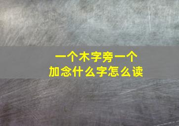 一个木字旁一个加念什么字怎么读