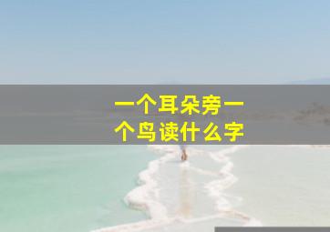 一个耳朵旁一个鸟读什么字