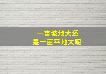 一亩坡地大还是一亩平地大呢