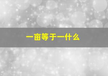 一亩等于一什么