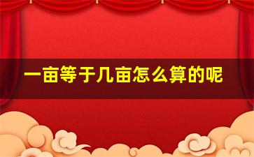 一亩等于几亩怎么算的呢