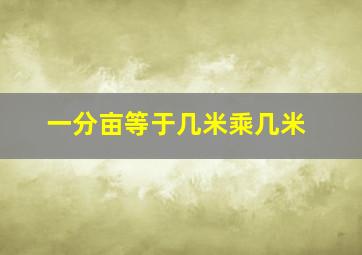 一分亩等于几米乘几米