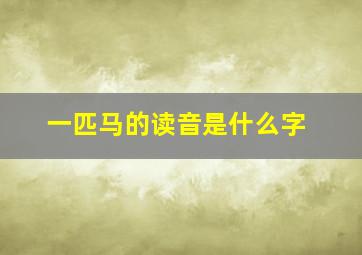 一匹马的读音是什么字