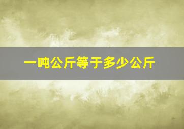 一吨公斤等于多少公斤