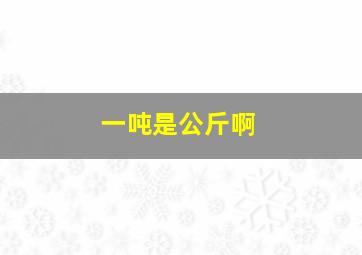 一吨是公斤啊