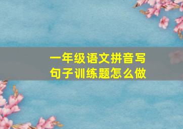 一年级语文拼音写句子训练题怎么做