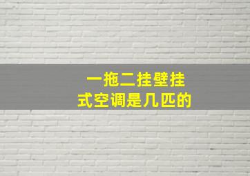 一拖二挂壁挂式空调是几匹的