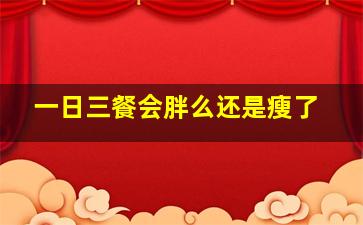 一日三餐会胖么还是瘦了