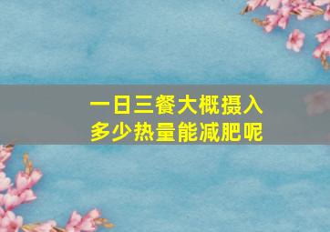 一日三餐大概摄入多少热量能减肥呢