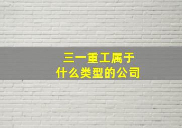 三一重工属于什么类型的公司