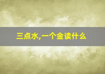 三点水,一个金读什么