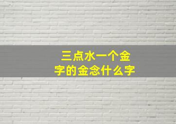 三点水一个金字的金念什么字