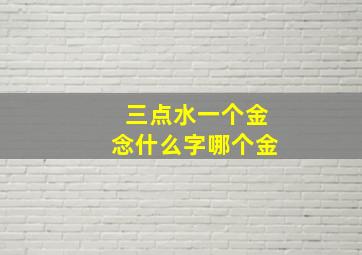 三点水一个金念什么字哪个金