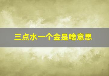 三点水一个金是啥意思