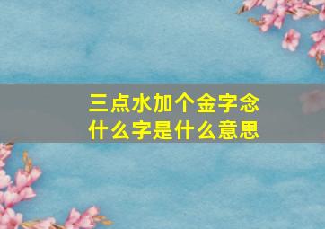 三点水加个金字念什么字是什么意思