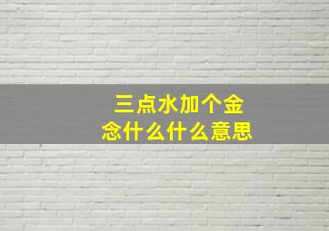 三点水加个金念什么什么意思