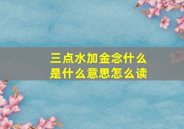 三点水加金念什么是什么意思怎么读