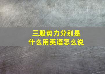 三股势力分别是什么用英语怎么说