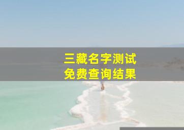 三藏名字测试免费查询结果