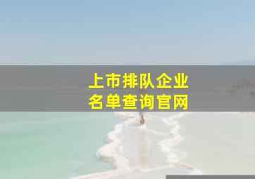 上市排队企业名单查询官网