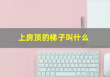 上房顶的梯子叫什么