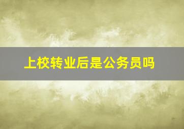 上校转业后是公务员吗