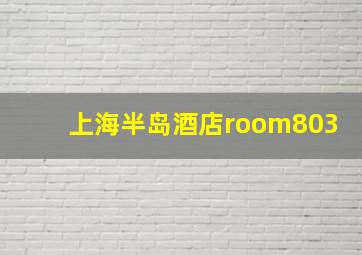 上海半岛酒店room803