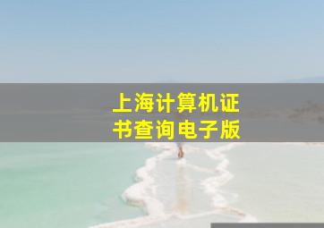 上海计算机证书查询电子版