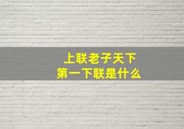 上联老子天下第一下联是什么