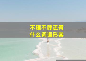 不理不睬还有什么词语形容