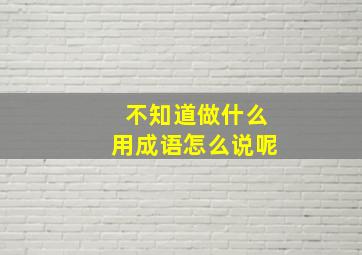 不知道做什么用成语怎么说呢