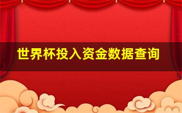 世界杯投入资金数据查询