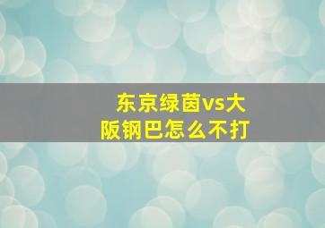 东京绿茵vs大阪钢巴怎么不打