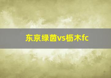 东京绿茵vs枥木fc