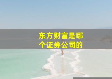 东方财富是哪个证券公司的