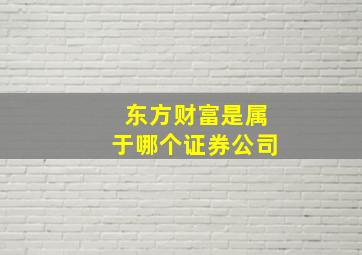 东方财富是属于哪个证券公司