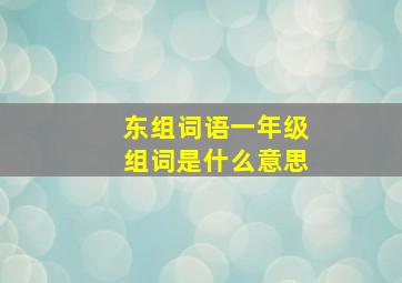 东组词语一年级组词是什么意思