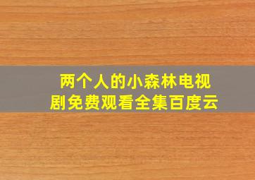 两个人的小森林电视剧免费观看全集百度云