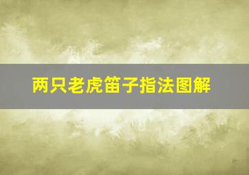 两只老虎笛子指法图解