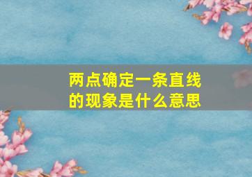 两点确定一条直线的现象是什么意思