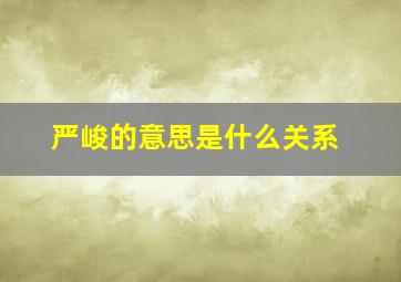 严峻的意思是什么关系