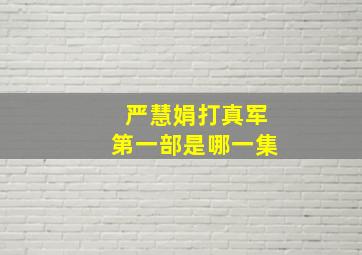 严慧娟打真军第一部是哪一集